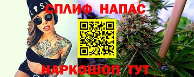 шишки Краснознаменск