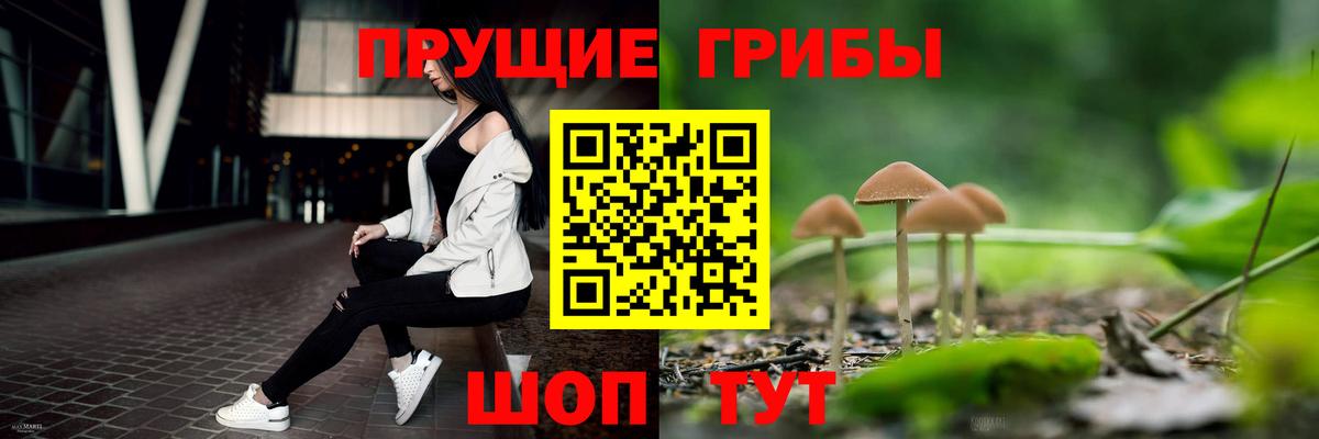 Галлюциногенные грибы MAGIC MUSHROOMS Избербаш